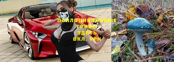 твердый Абаза