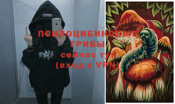 твердый Абаза